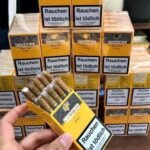Cohiba Siglo II Tubos Cuban Cigars